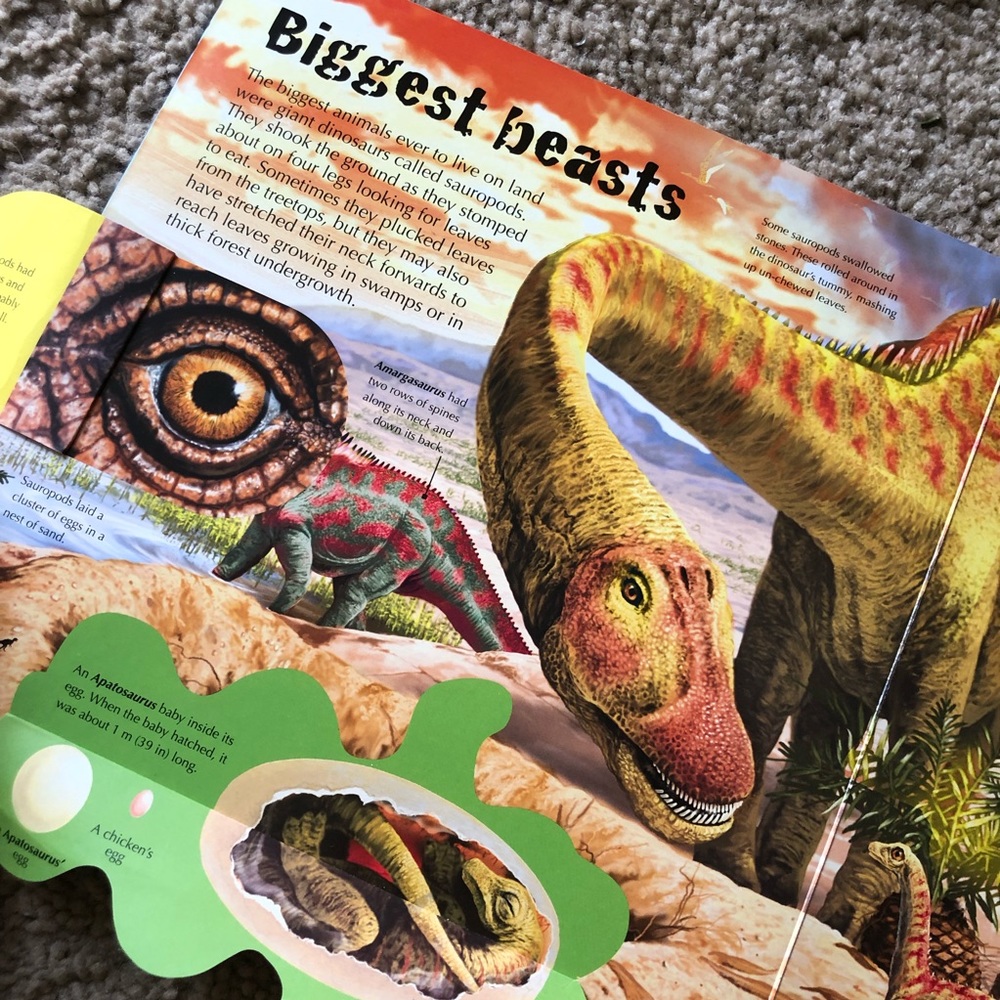 Dinosaurs Octagonal Box Set - Picture 3 of 11